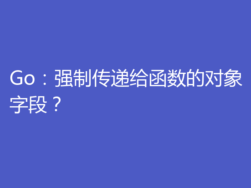 Go:强制传递给函数的对象字段?