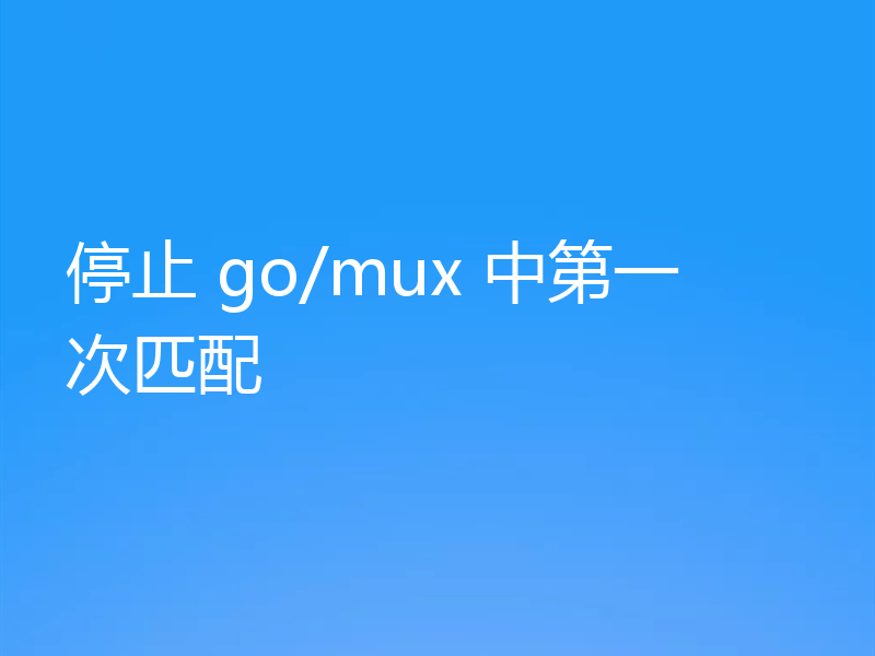 停止 go/mux 中第一次匹配