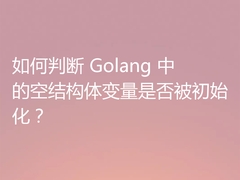 如何判断 Golang 中的空结构体变量是否被初始化?