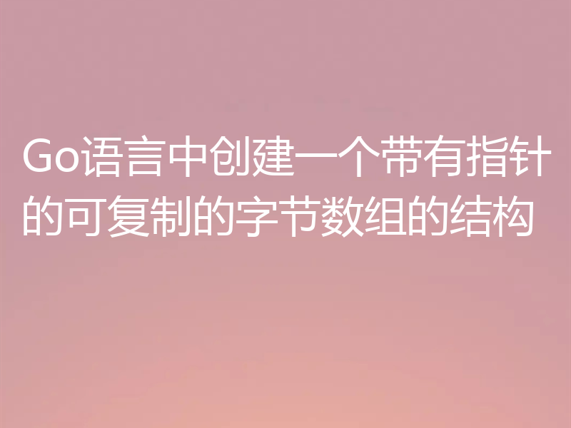 Go语言中创建一个带有指针的可复制的字节数组的结构