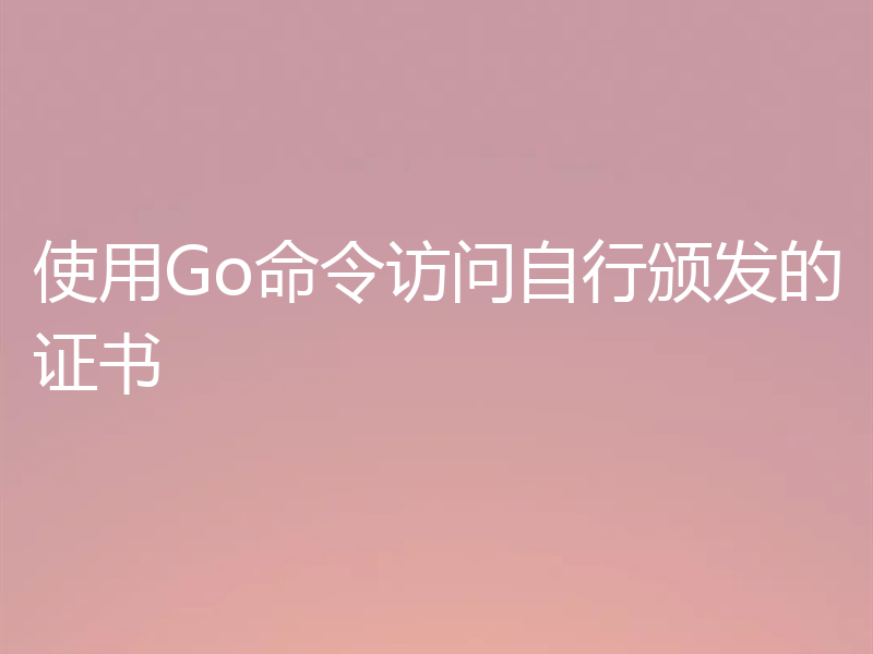 使用Go命令访问自行颁发的证书