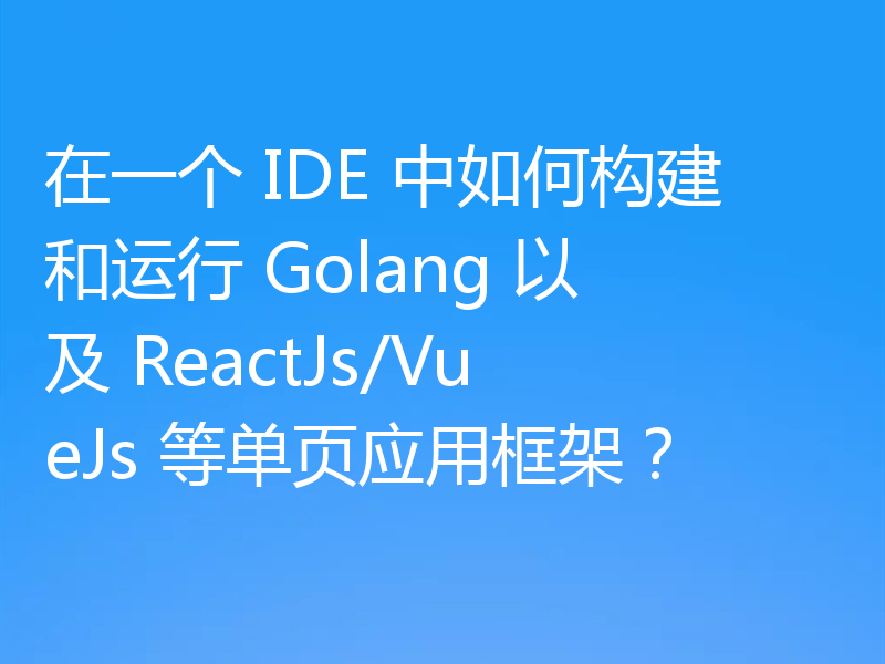 在一个 IDE 中如何构建和运行 Golang 以及 ReactJs/VueJs 等单页应用框架?