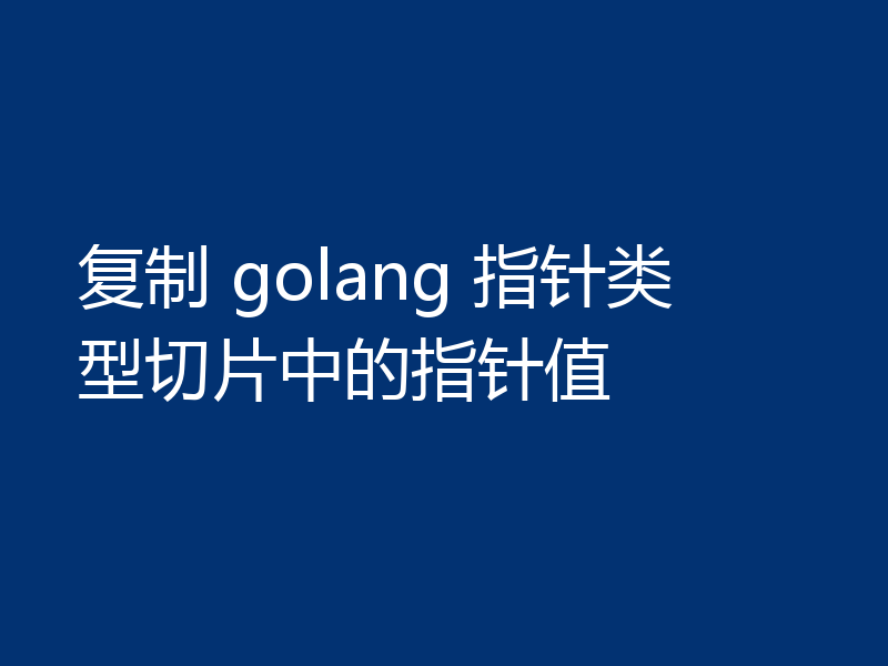 复制 golang 指针类型切片中的指针值
