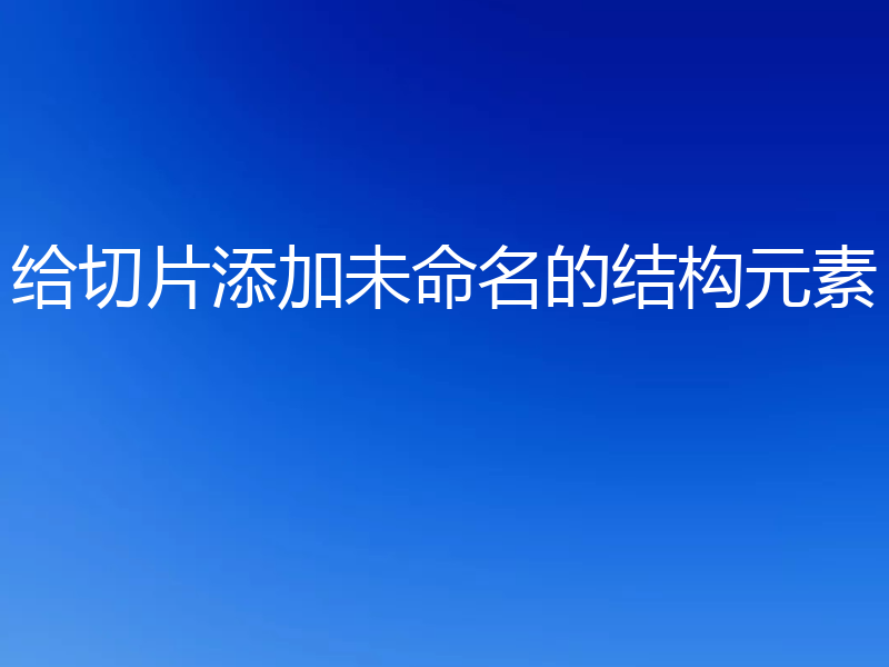 给切片添加未命名的结构元素