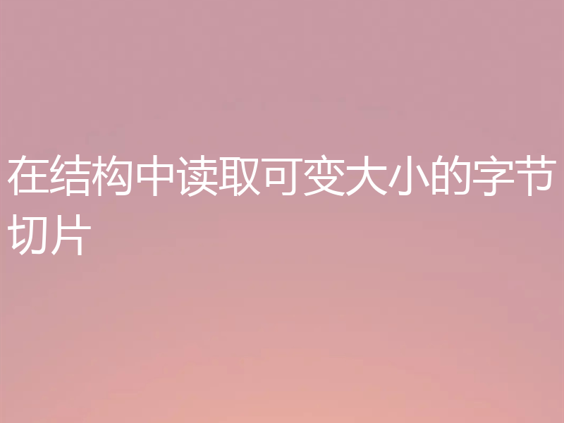 在结构中读取可变大小的字节切片