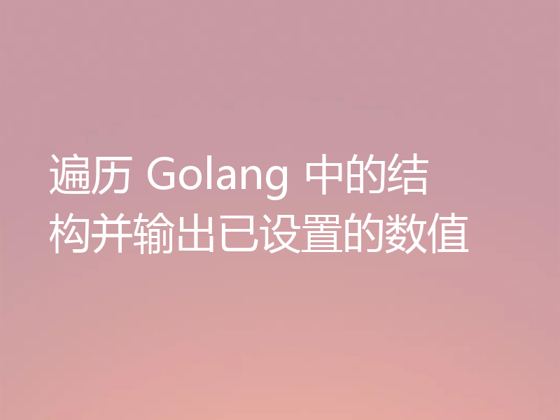 遍历 Golang 中的结构并输出已设置的数值
