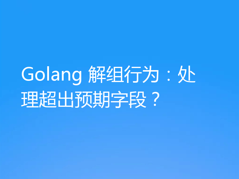 Golang 解组行为:处理超出预期字段?