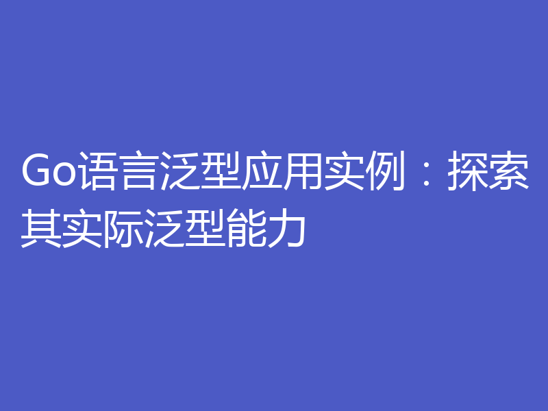 Go语言泛型应用实例:探索其实际泛型能力