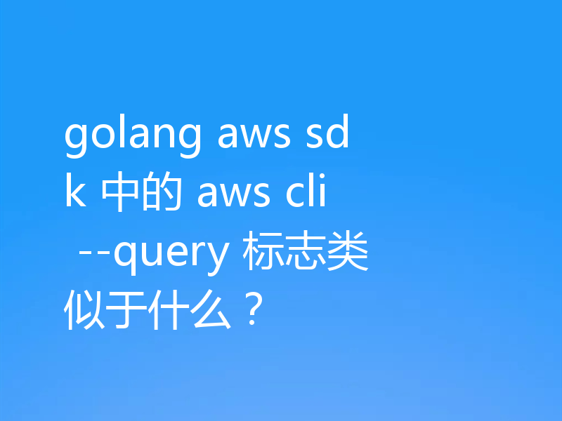 golang aws sdk 中的 aws cli --query 标志类似于什么?