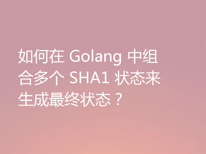 如何在 Golang 中组合多个 SHA1 状态来生成最终状态?