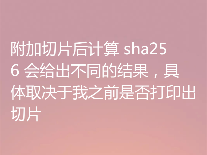 附加切片后计算 sha256 会给出不同的结果,具体取决于我之前是否打印出切片