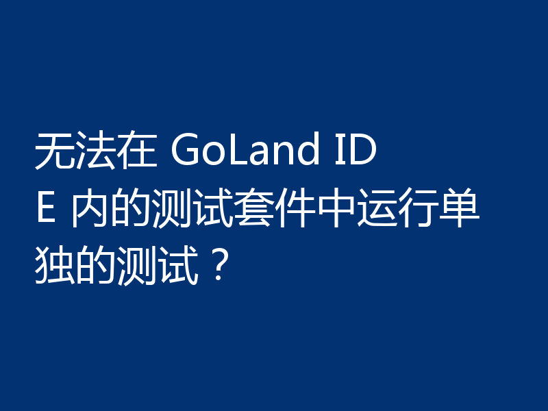 无法在 GoLand IDE 内的测试套件中运行单独的测试?