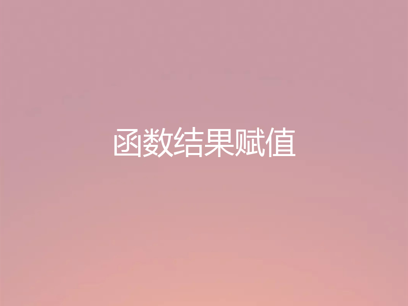 函数结果赋值