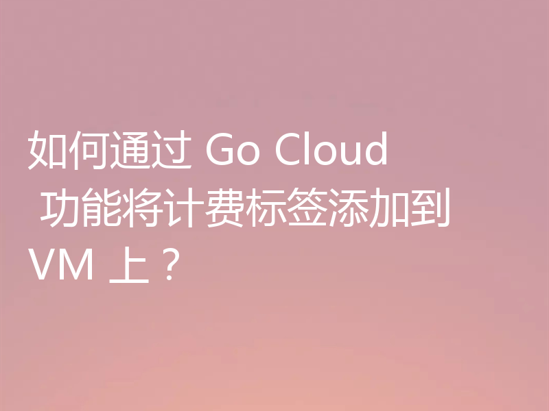 如何通过 Go Cloud 功能将计费标签添加到 VM 上?