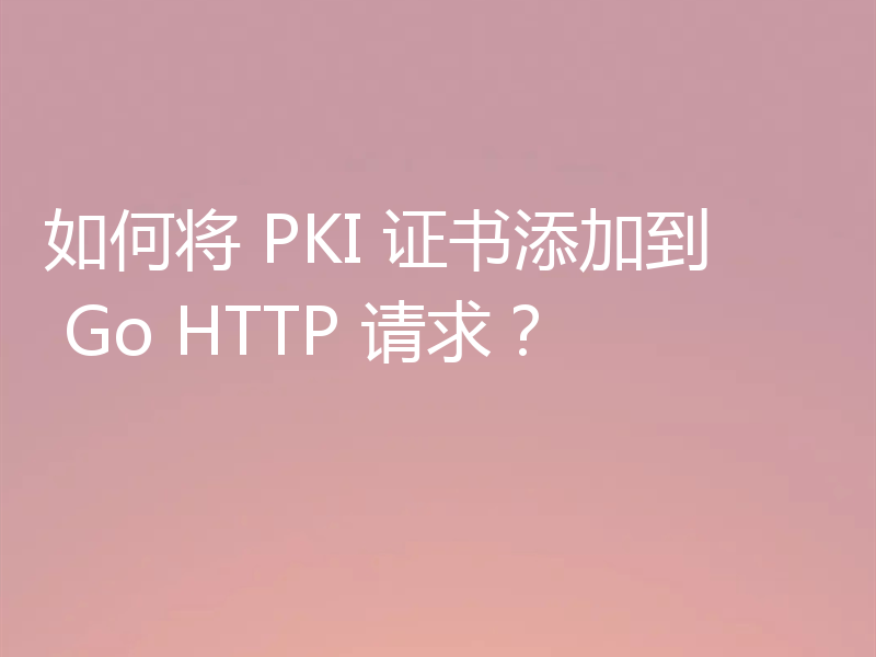 如何将 PKI 证书添加到 Go HTTP 请求?