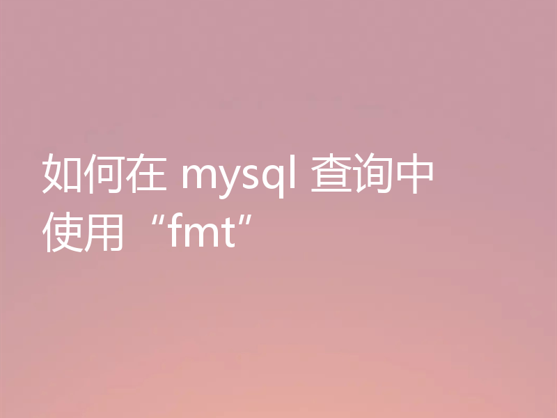 如何在 mysql 查询中使用“fmt”