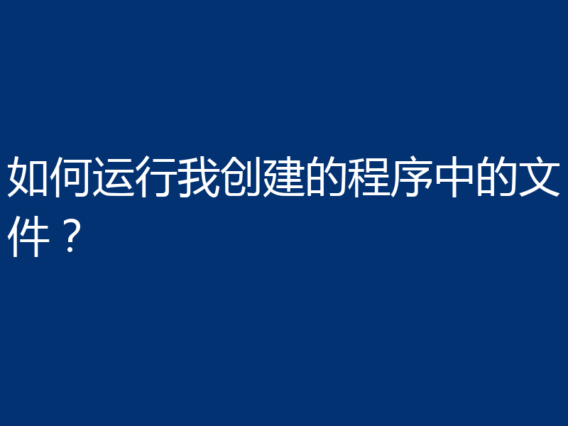如何运行我创建的程序中的文件?