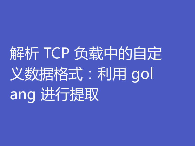 解析 TCP 负载中的自定义数据格式:利用 golang 进行提取