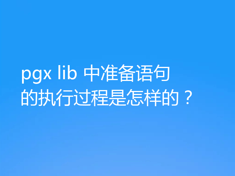 pgx lib 中准备语句的执行过程是怎样的?
