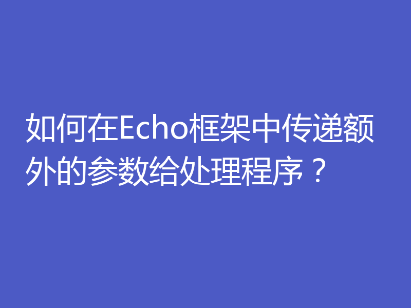 如何在Echo框架中传递额外的参数给处理程序?