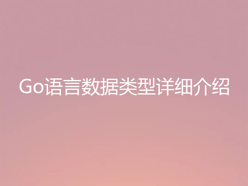 Go语言数据类型详细介绍