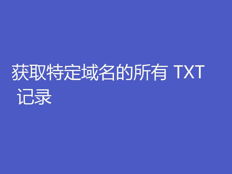 获取特定域名的所有 TXT 记录