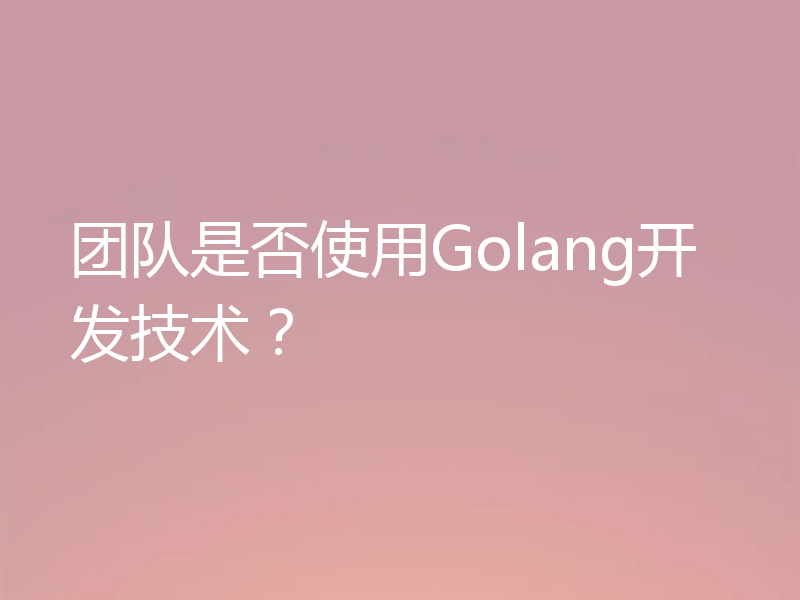团队是否使用Golang开发技术?