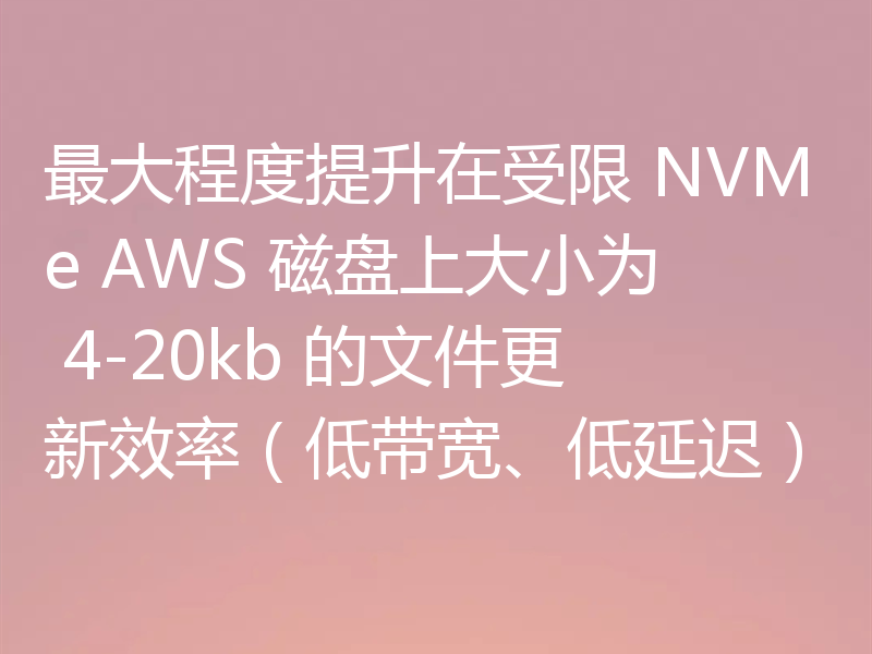 最大程度提升在受限 NVMe AWS 磁盘上大小为 4-20kb 的文件更新效率(低带宽、低延迟)