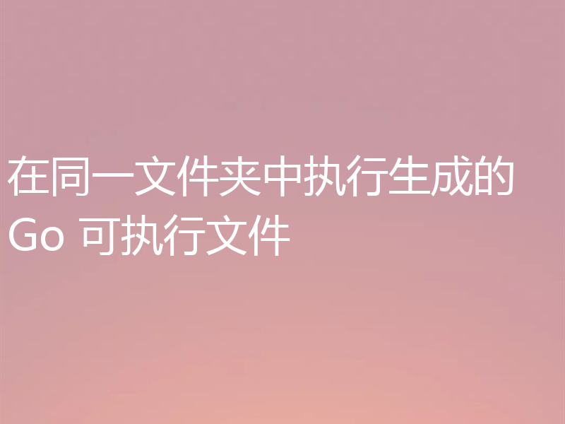 在同一文件夹中执行生成的 Go 可执行文件