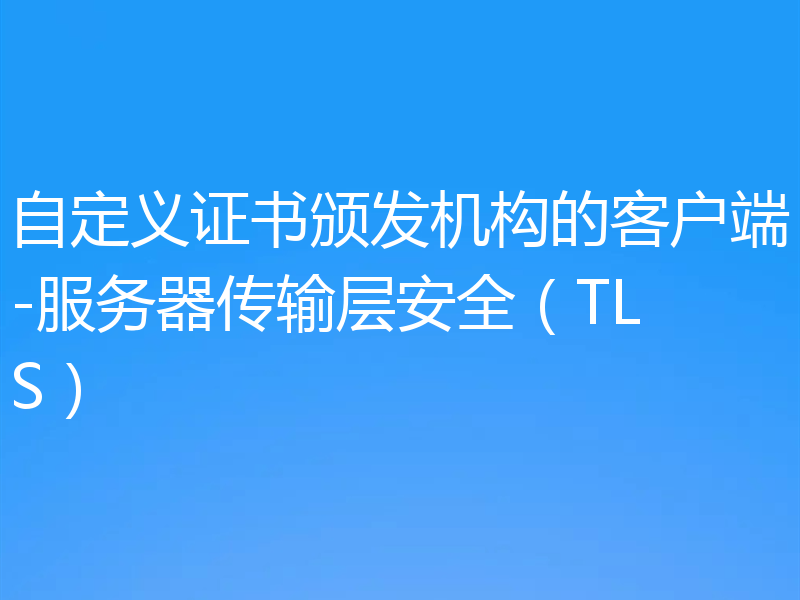 自定义证书颁发机构的客户端-服务器传输层安全(TLS)