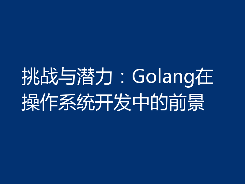 挑战与潜力:Golang在操作系统开发中的前景