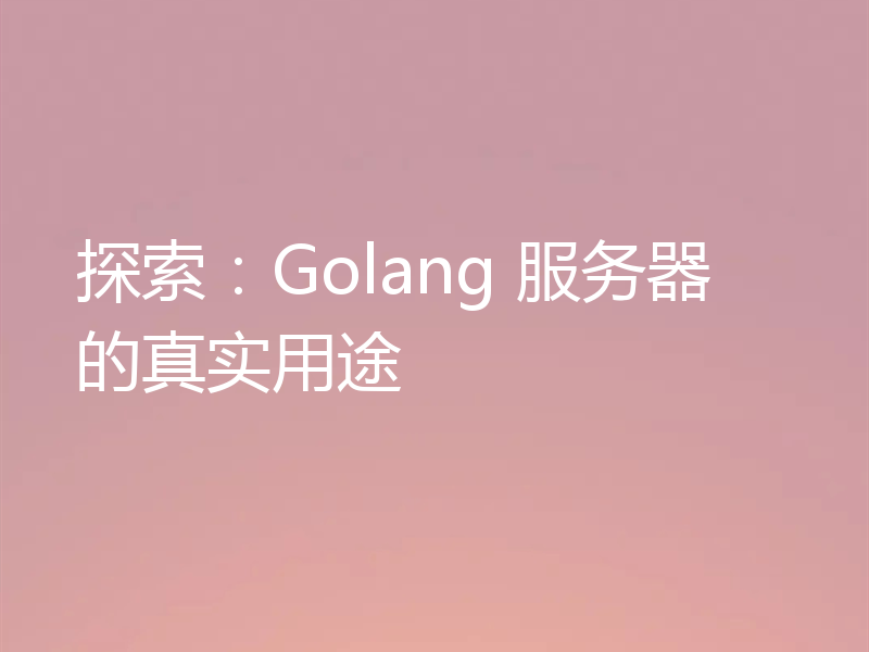 探索:Golang 服务器的真实用途