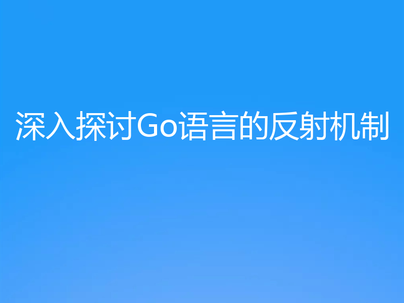 深入探讨Go语言的反射机制