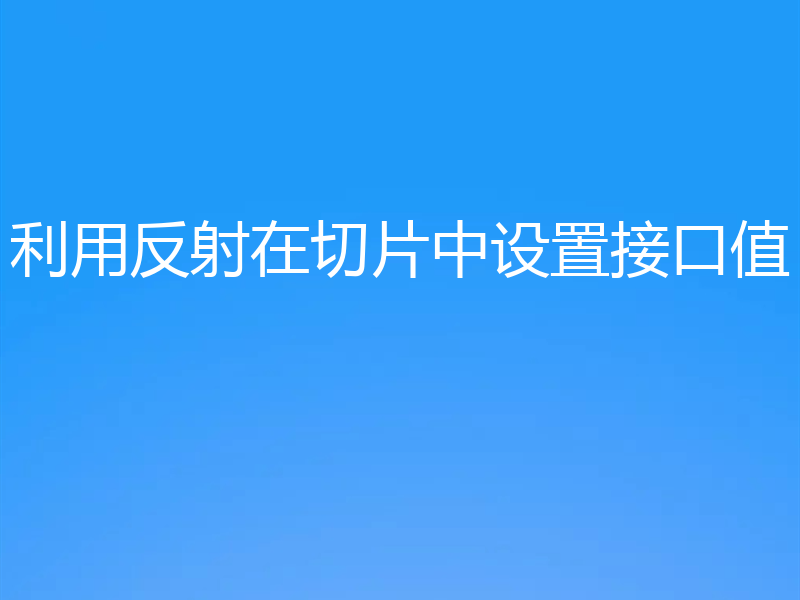 利用反射在切片中设置接口值
