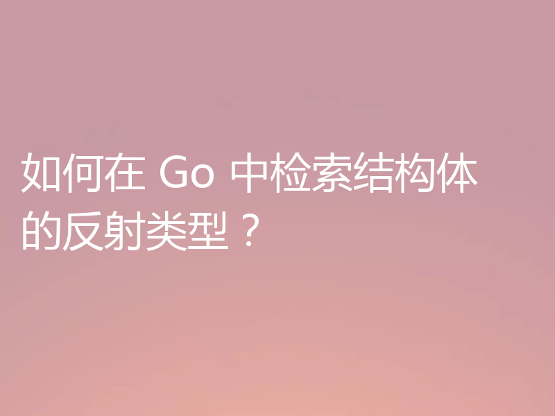 如何在 Go 中检索结构体的反射类型?