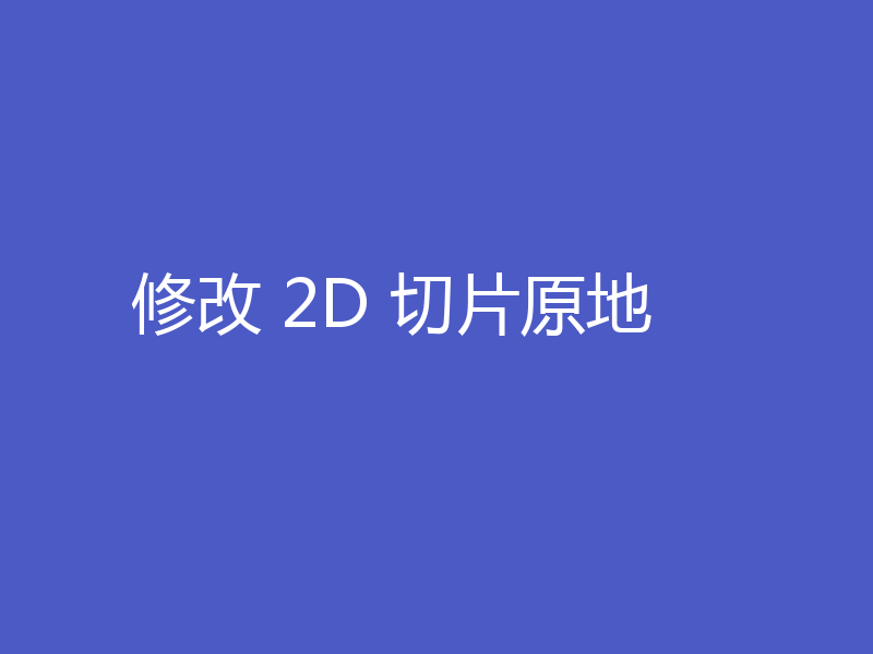 修改 2D 切片原地
