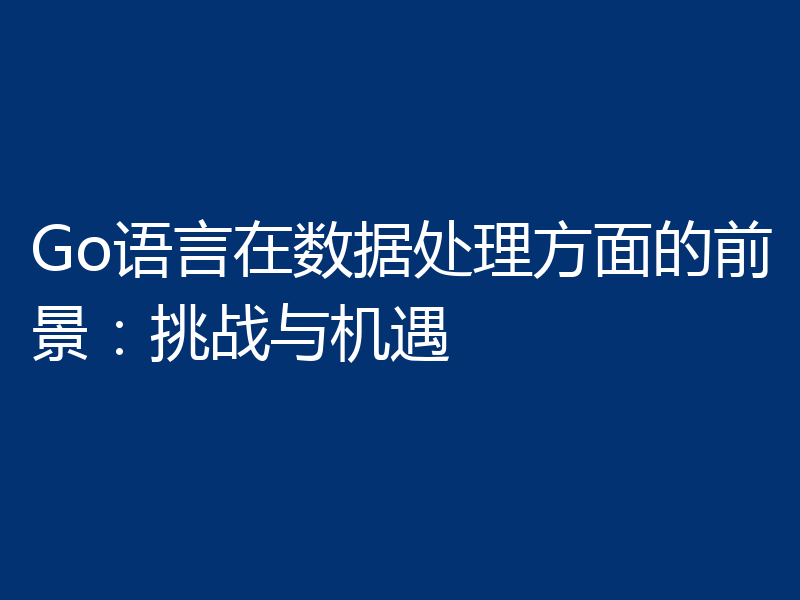 Go语言在数据处理方面的前景:挑战与机遇