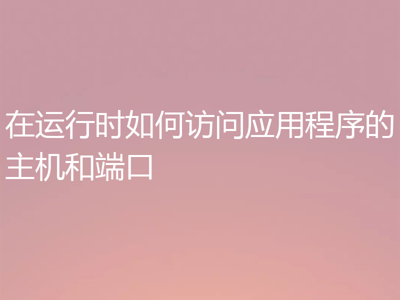 在运行时如何访问应用程序的主机和端口