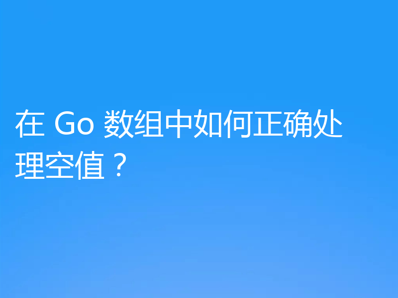 在 Go 数组中如何正确处理空值?