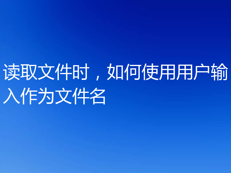 读取文件时,如何使用用户输入作为文件名