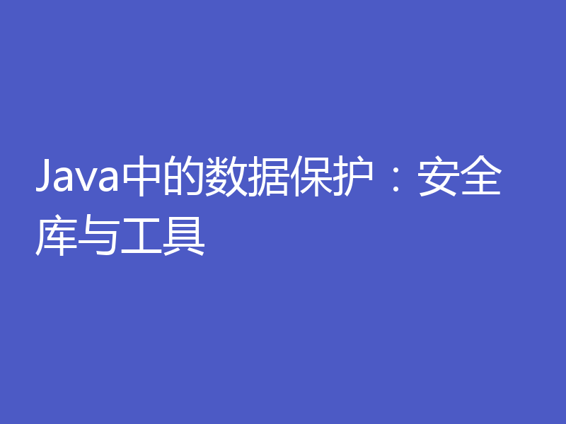 Java中的数据保护:安全库与工具
