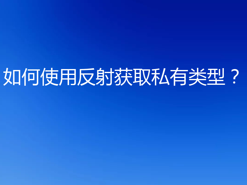 如何使用反射获取私有类型?