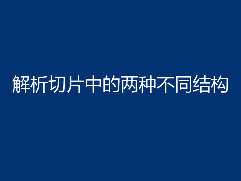 解析切片中的两种不同结构