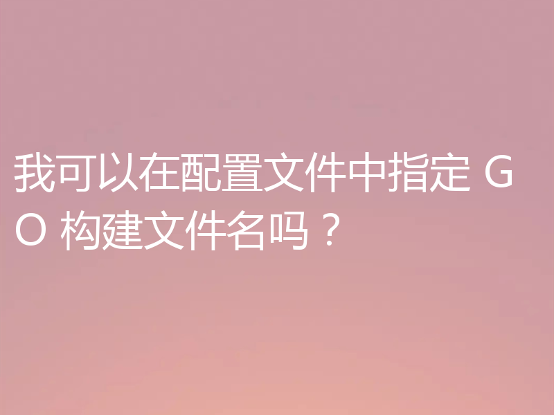 我可以在配置文件中指定 GO 构建文件名吗?