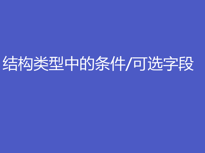 结构类型中的条件/可选字段