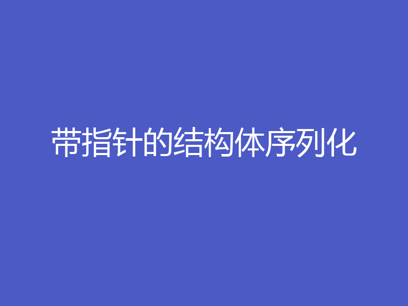 带指针的结构体序列化