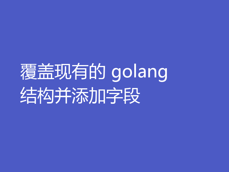 覆盖现有的 golang 结构并添加字段