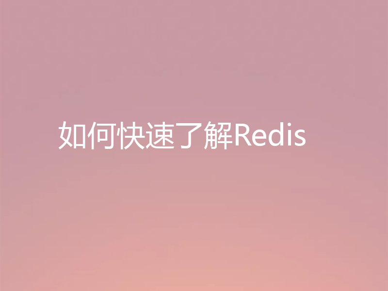 如何快速了解Redis