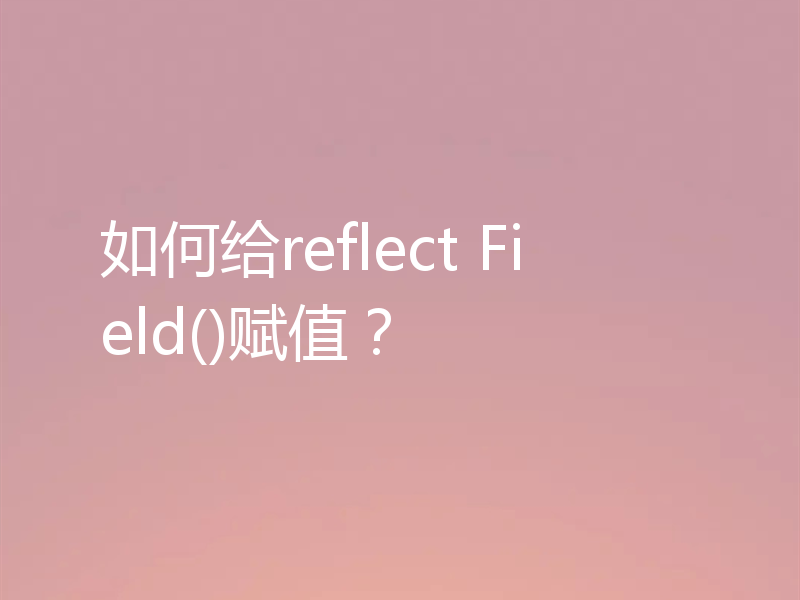 如何给reflect Field()赋值?
