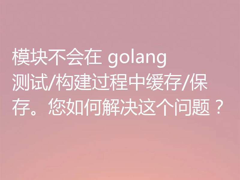 模块不会在 golang 测试/构建过程中缓存/保存。您如何解决这个问题?
